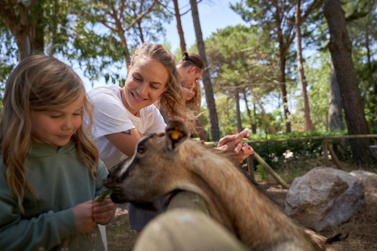 Camping Campo Dei Fiori Вада Екстериор снимка